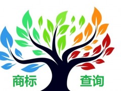 如何應(yīng)對(duì)商標(biāo)查詢盲期？